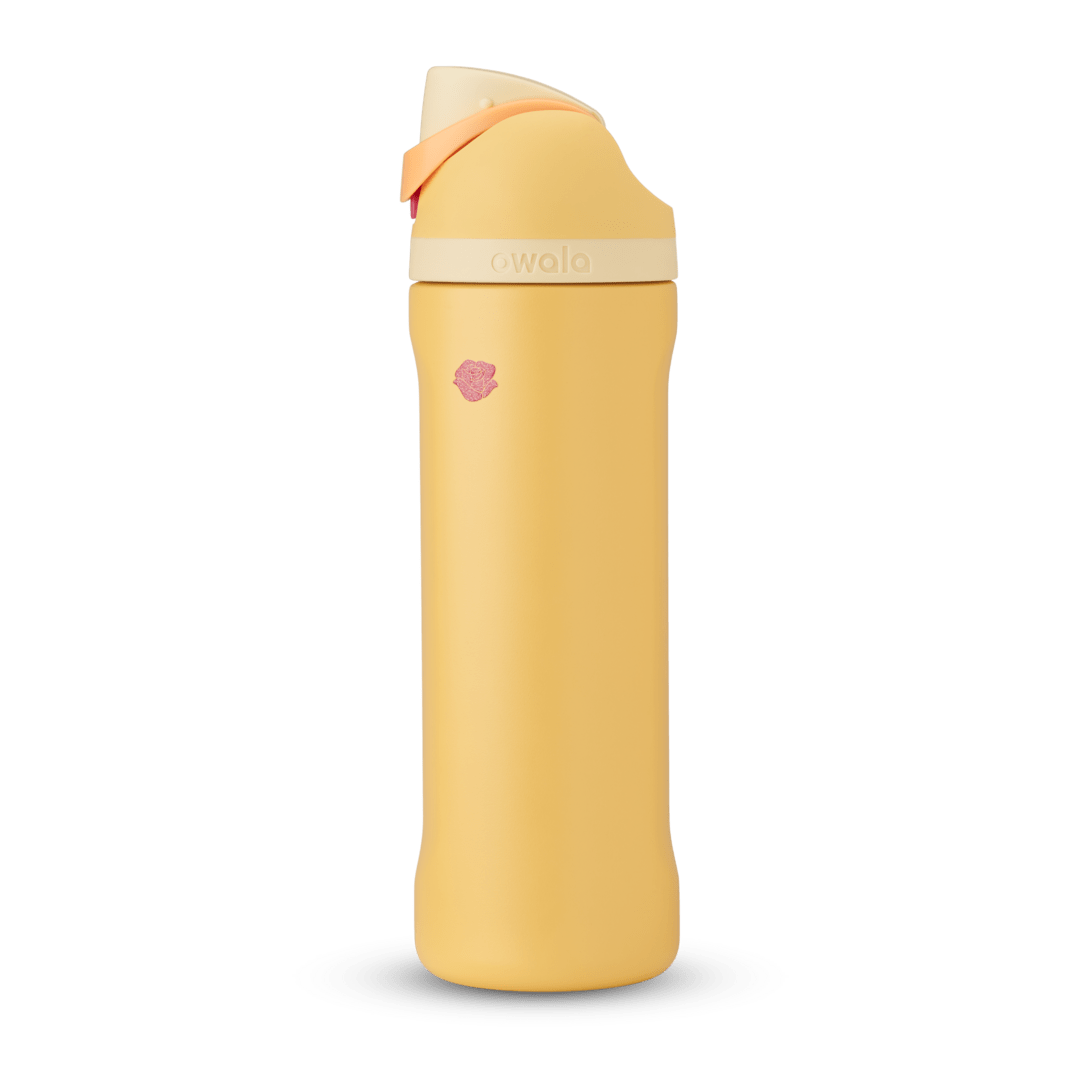 Disney Princess Collection - Everyday Hydration Starts Here