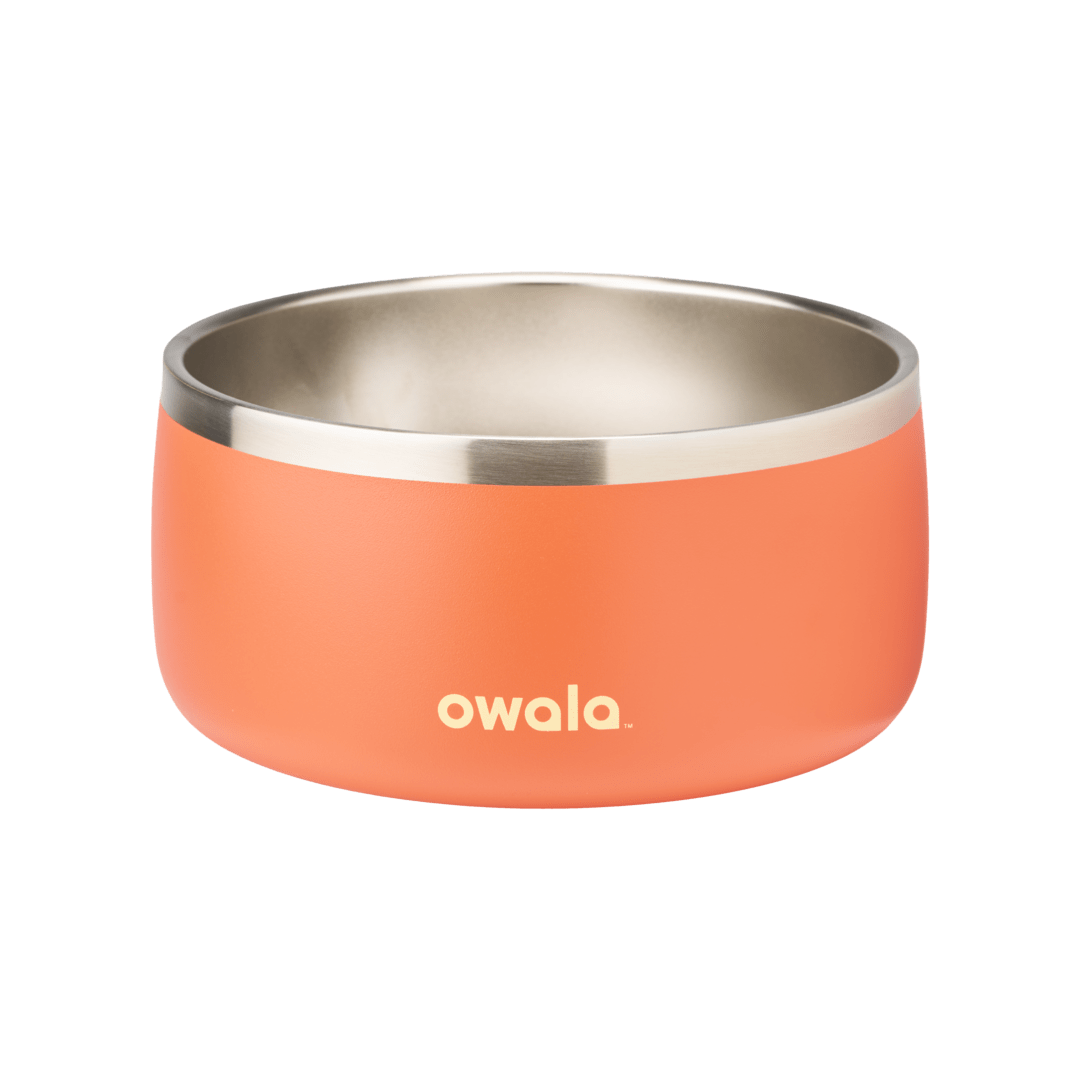 Pet Bowl - Your Water Bottle MVP
