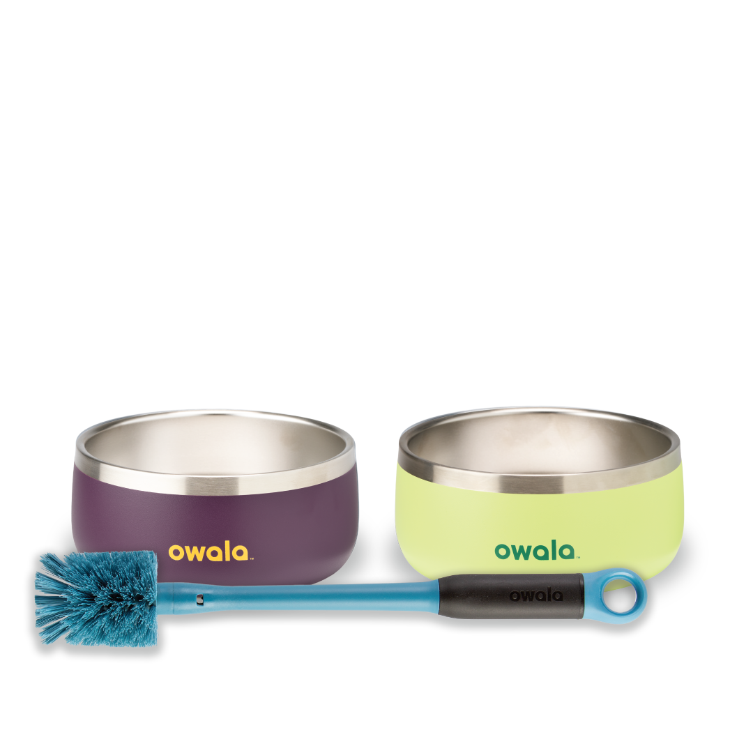 Pet Bowl Bundle - Keep Sipping Keep Moving
