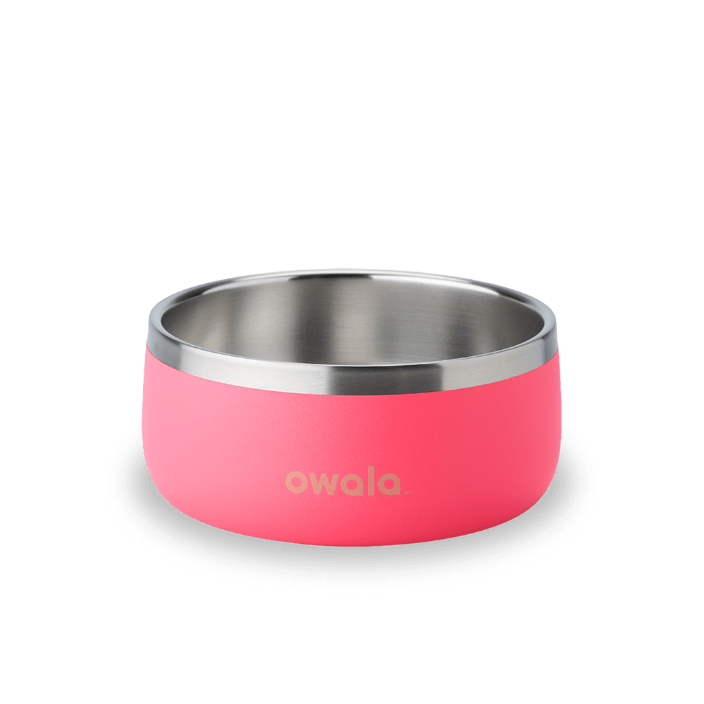 Pet Bowl - Your Water Bottle MVP