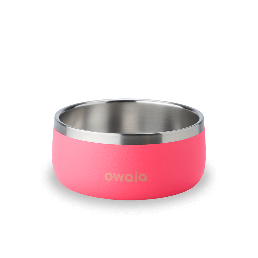 Pet Bowl - Your Water Bottle MVP