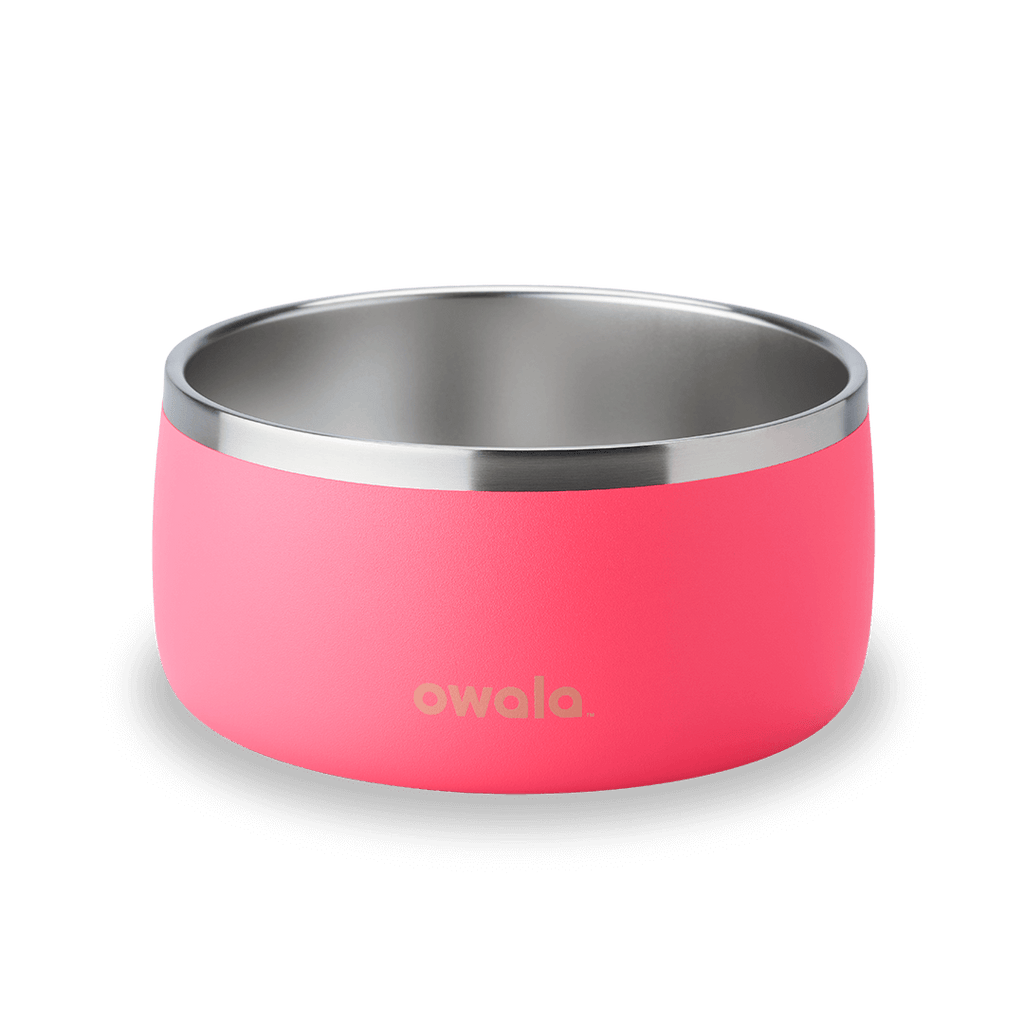 Pet Bowl - Your Water Bottle MVP