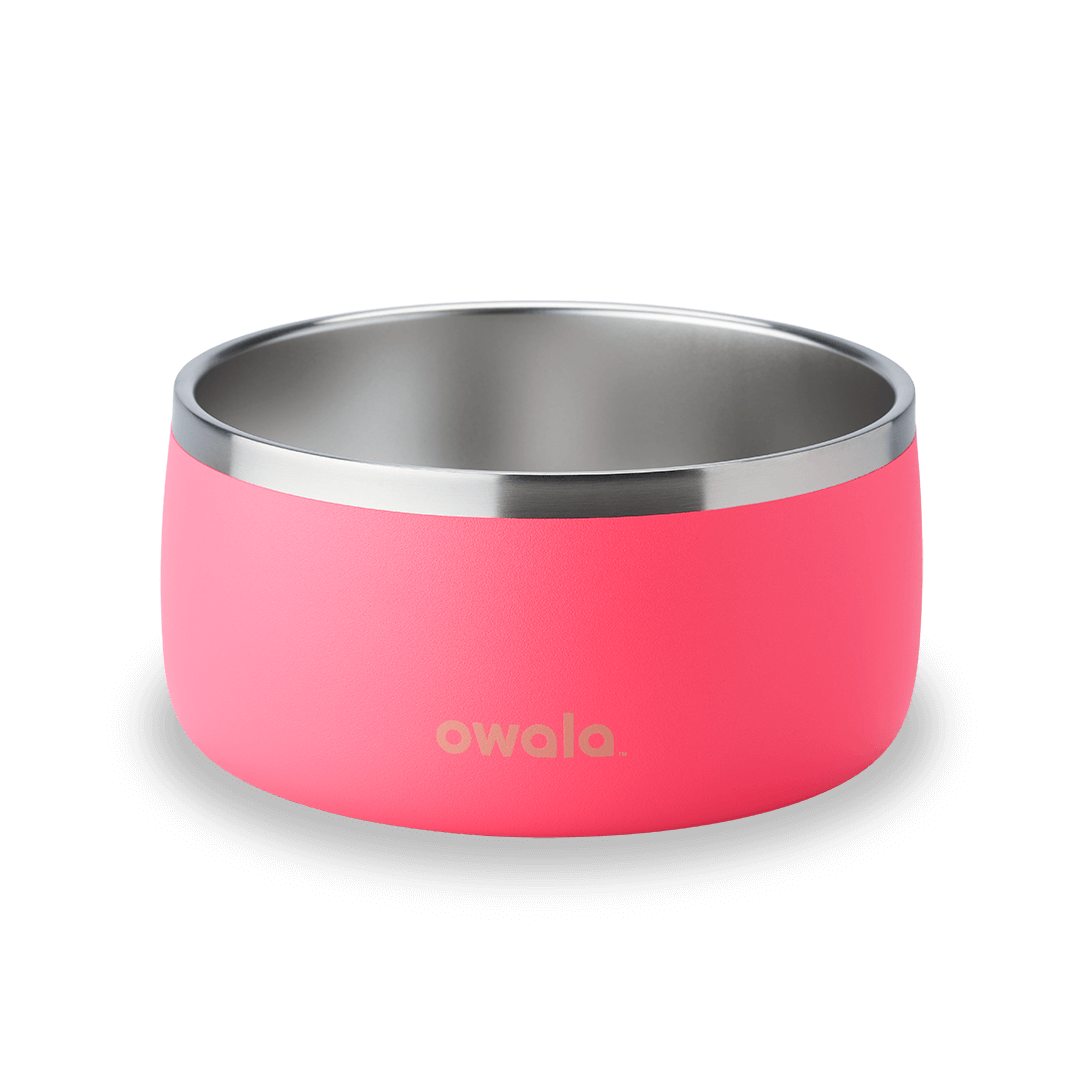 Pet Bowl - Your Water Bottle MVP